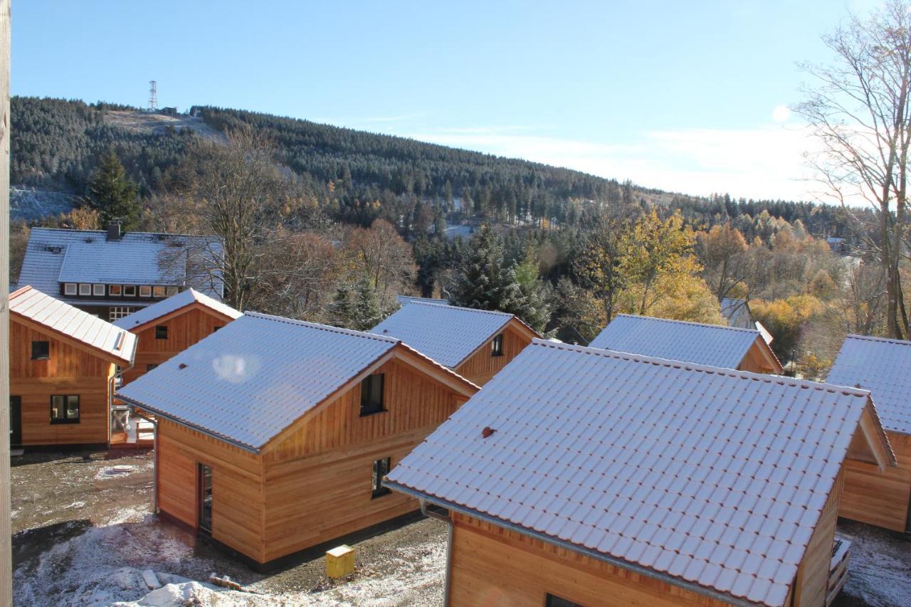 Cecilienpark Oberharz Villa Goslar Exterior photo