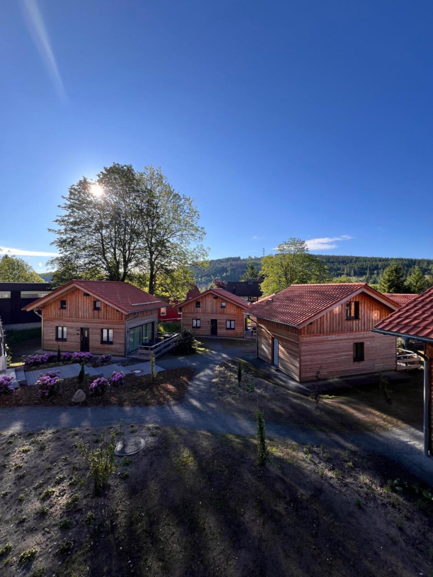 Cecilienpark Oberharz Villa Goslar Exterior photo